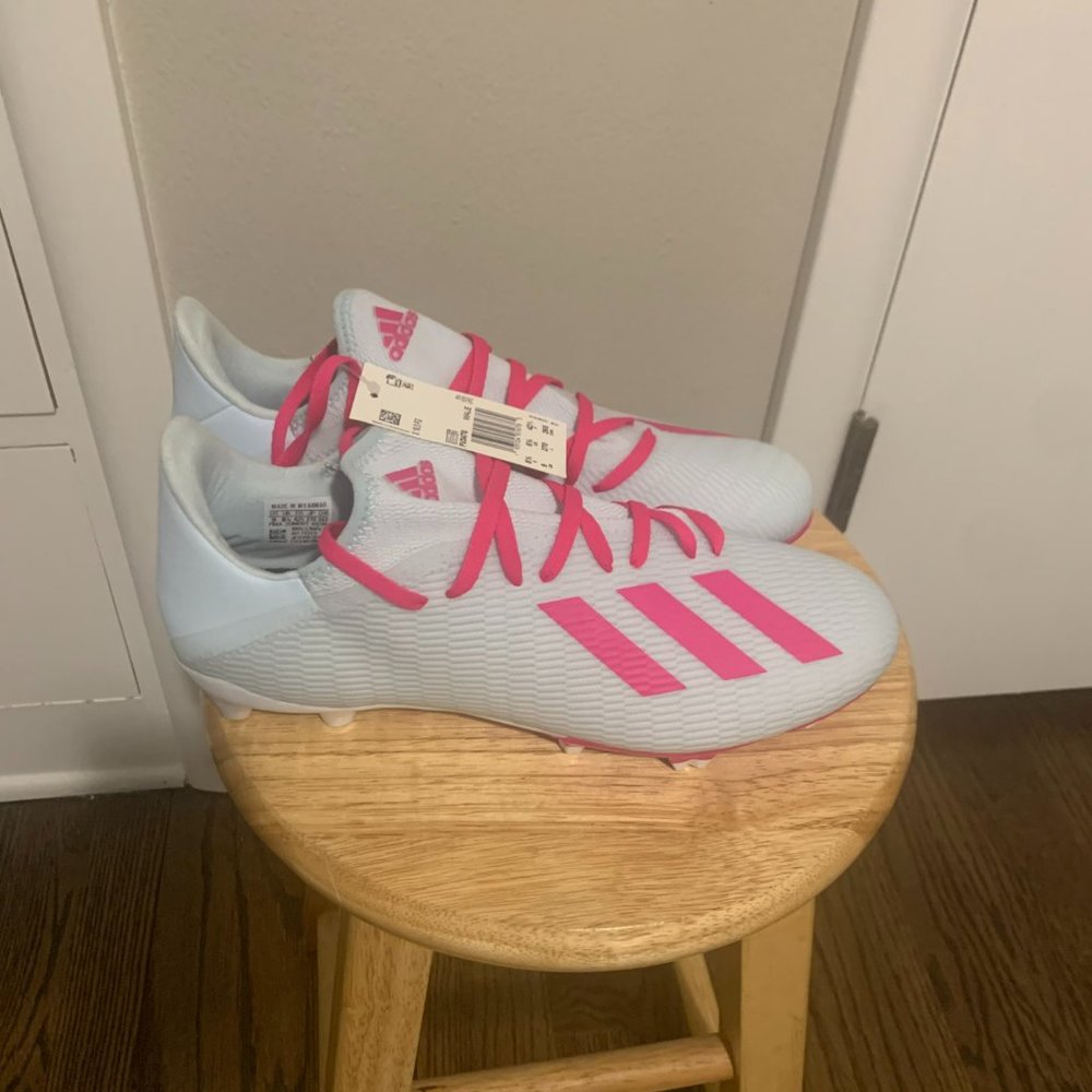 Adidas X 19.3 FG (FV3470) SKY-PINK (MEN) Cleats